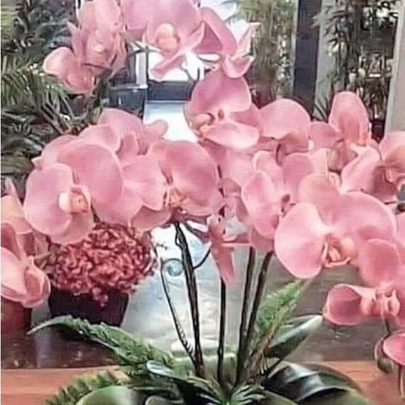 WOOL PINK JACKET FUR COLLAR MOPLE. Korean Fashion - Picture 8 of 9